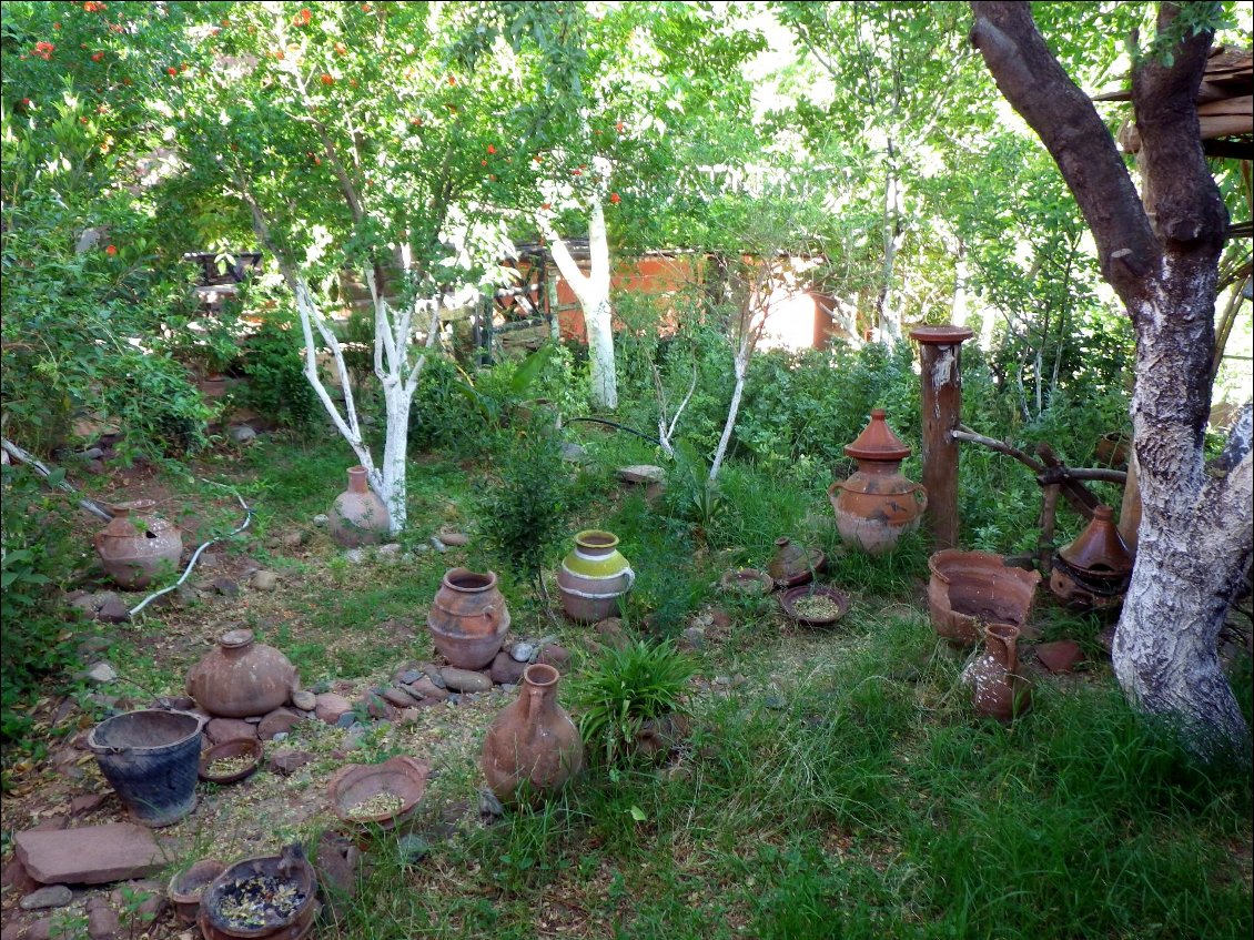 Le jardin au gite de Talat n'Yaqoub
