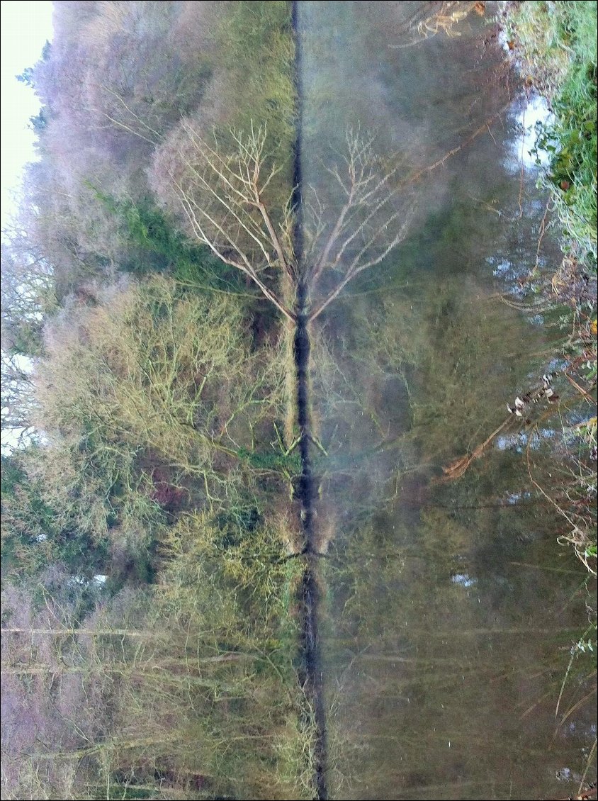 Une autre vision des choses...
En hommage à Alice Guilbaud, artiste photographe