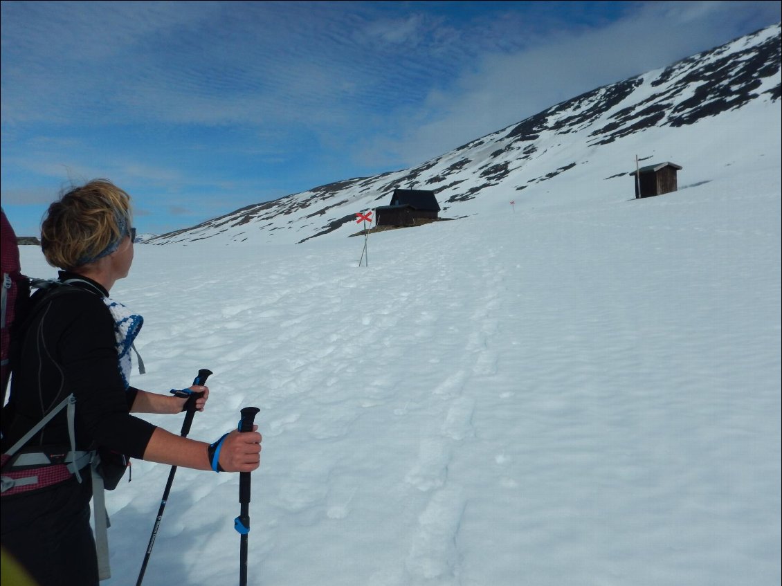 Nous nous rapprochons maintenant du col de Tjaktajapasset à 1150m, point culminant du trek.