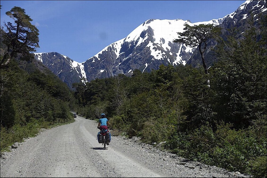 Des sommets enneigés et des glaciers à portée de main, et à faible altitude (inférieur à 2000m).