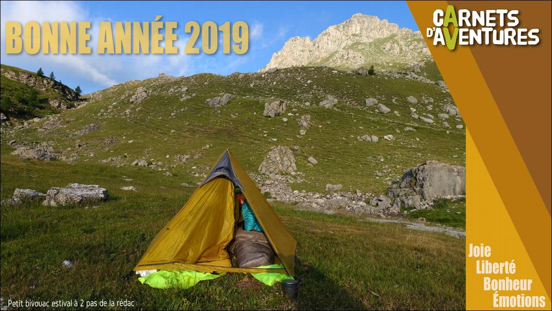 bonne-annee-2019