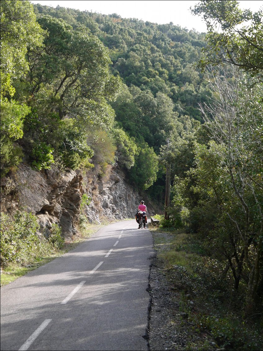 Corse