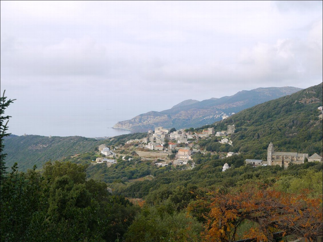 Corse