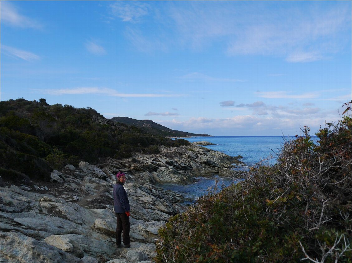 Corse