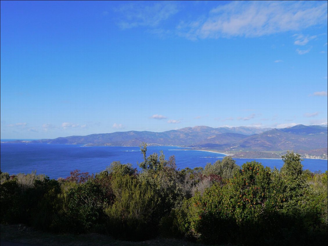 Corse