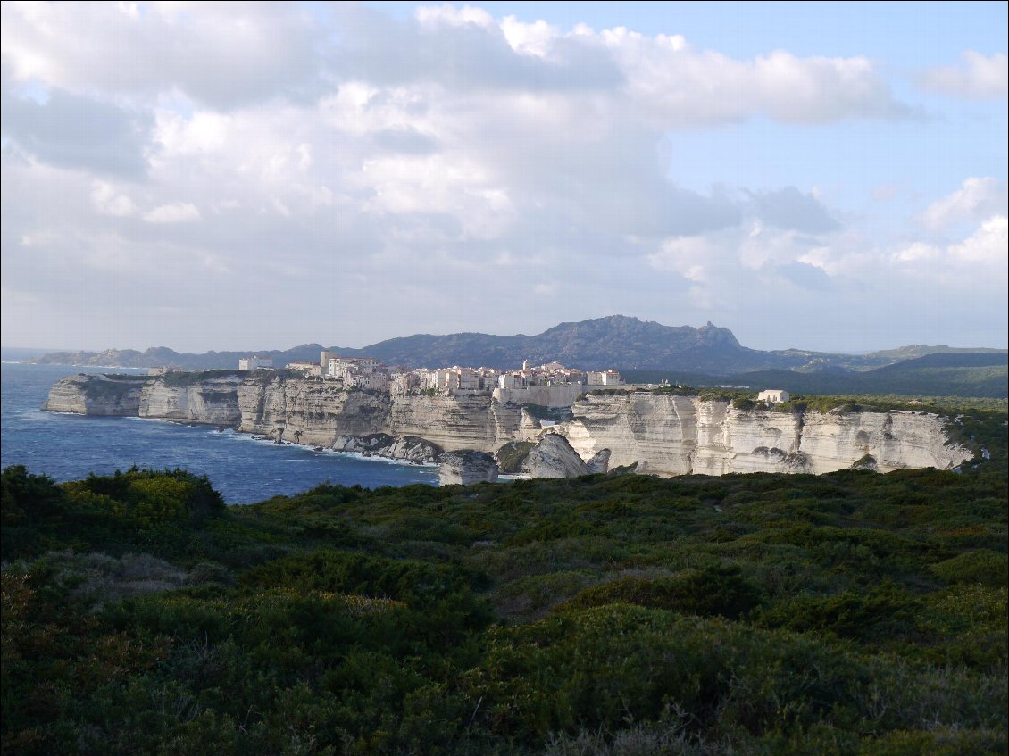 Corse