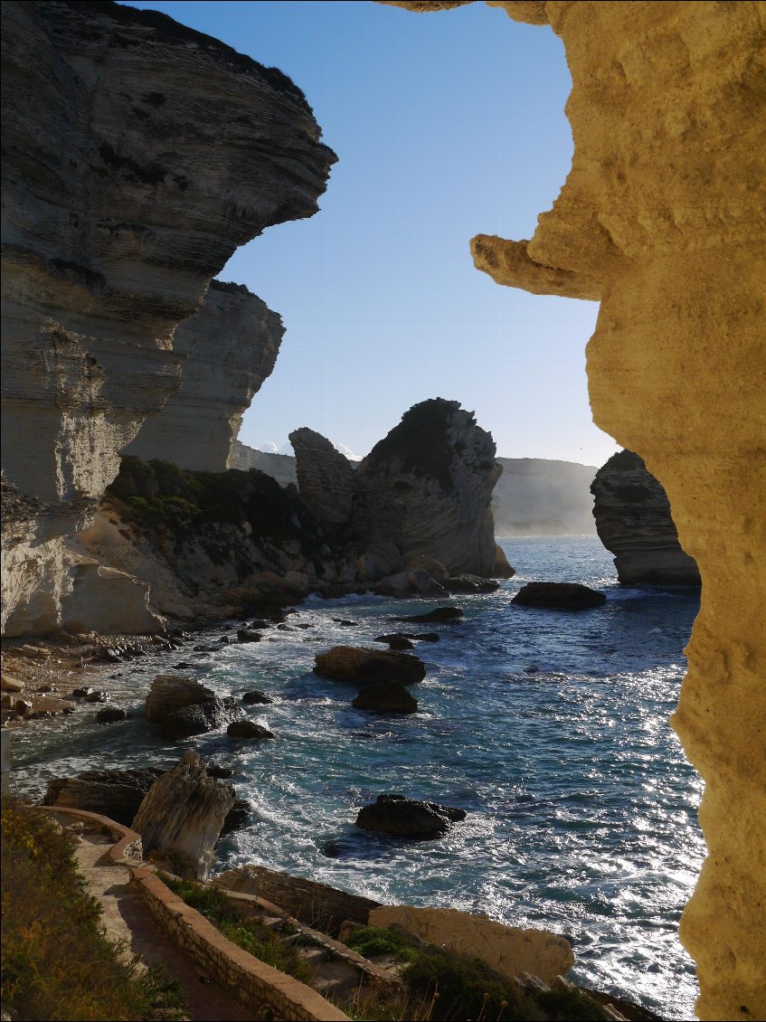 Corse