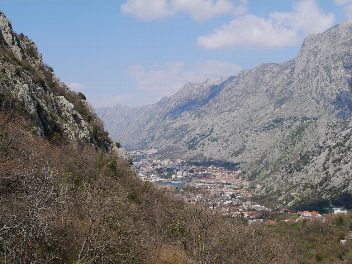 Kotor