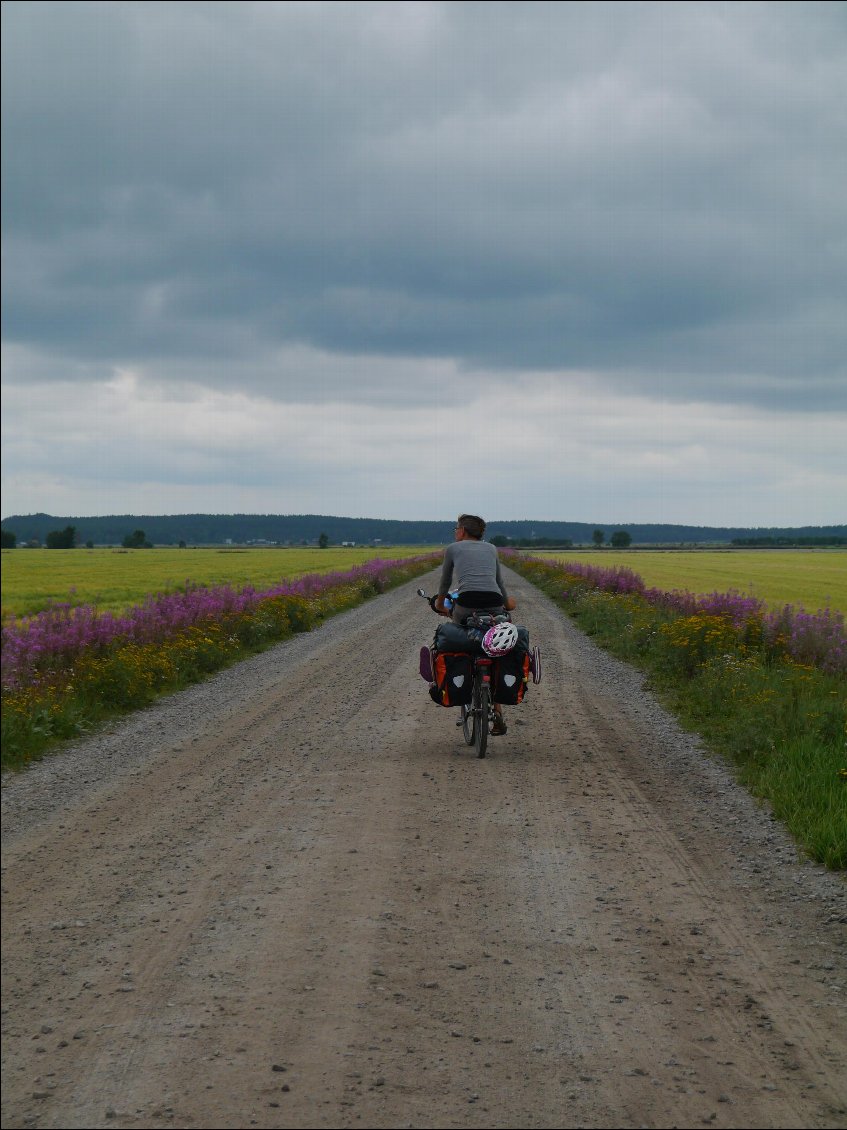 Dans le cratère