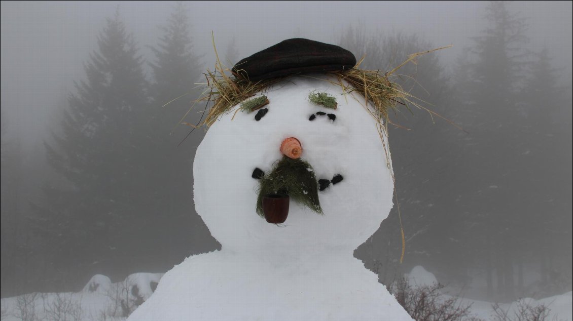 Cover of Traversée à vélo de Paolo, un bonhomme de neige des Alpes à la mer