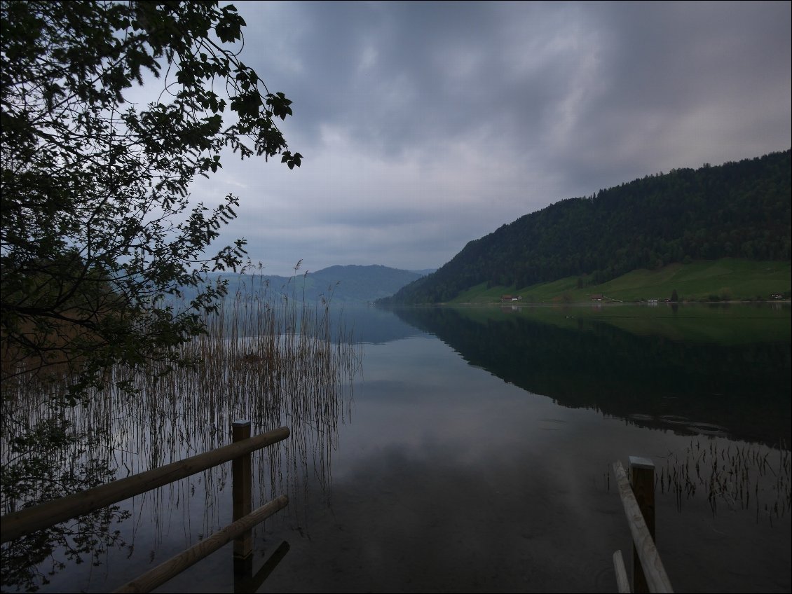 Au bord du lac le soir