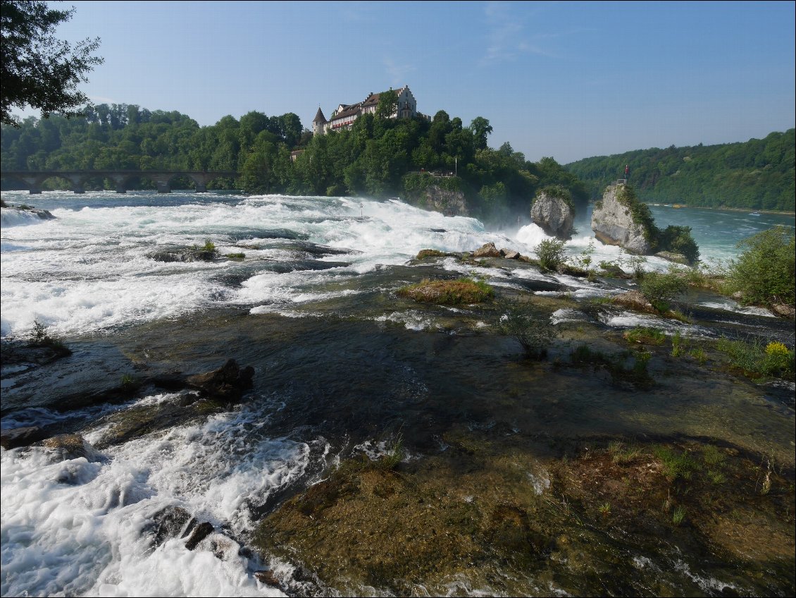 Les chutes du Rhin