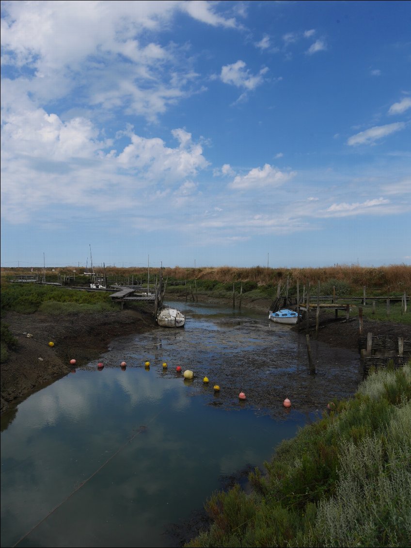 Dans les polders autour de Bouin