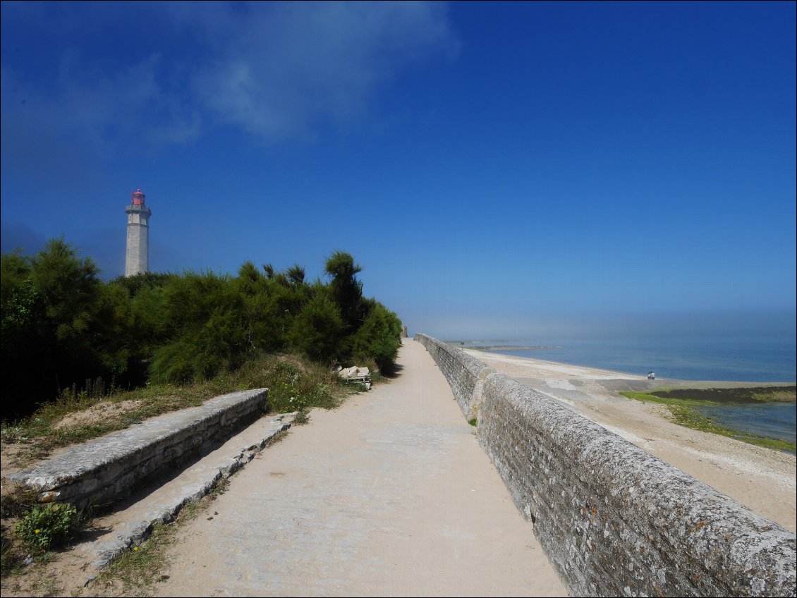 Jour 7 : Visite Ile de Ré