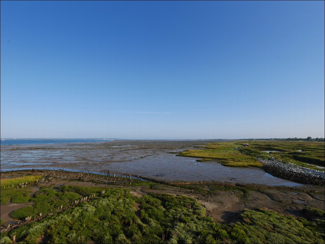 Estuaire de la Seudre