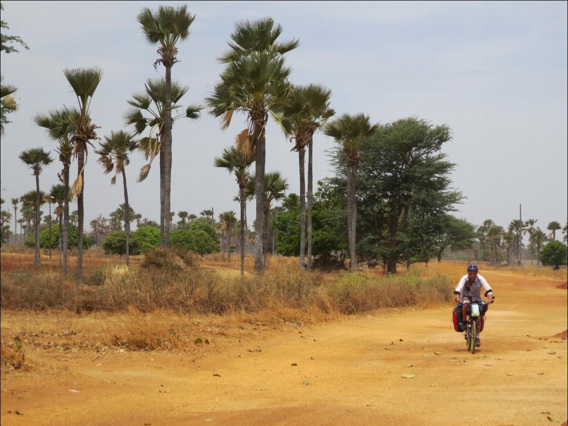 À travers l'Afrique à vélo, une année d’aventures avec un grand A !
Photo : Olivier Desmaison