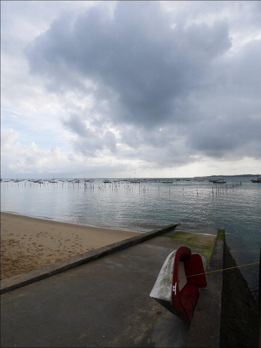 Bassin Arcachon