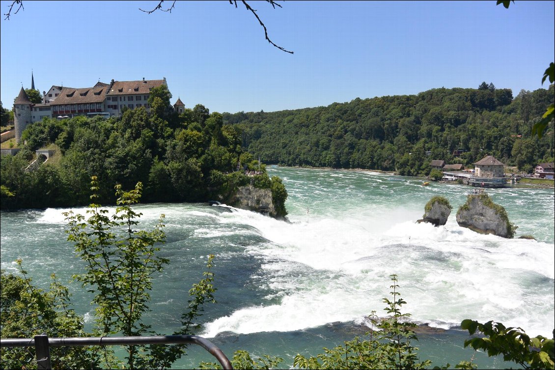 Les chutes du Rhein