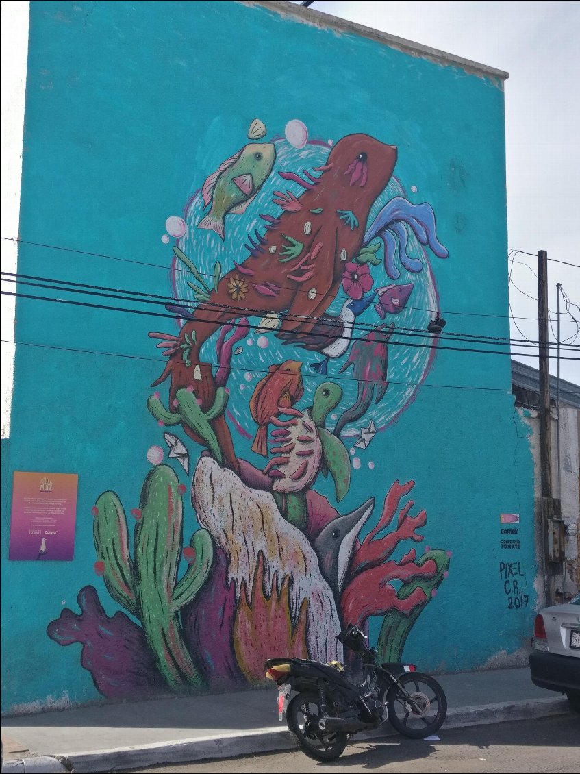 Street art dans les rues de La Paz 