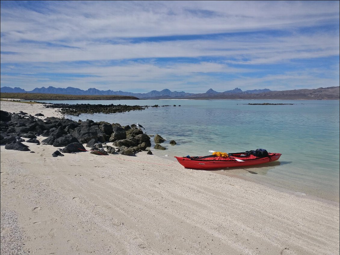 Couverture de La aventura mexicana: kayak sur la mer de Cortés