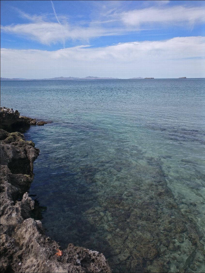 Le spot de pêche idéal