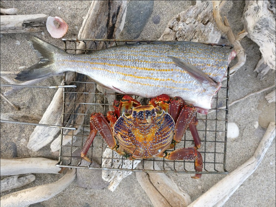 Les crabes, ça se pêche aussi avec une canne à pêche!