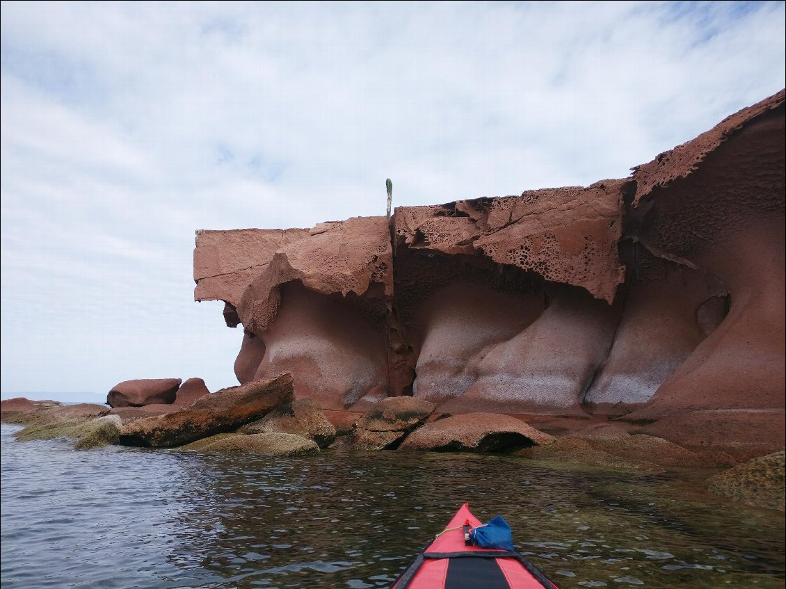 Incroyable création de la nature!