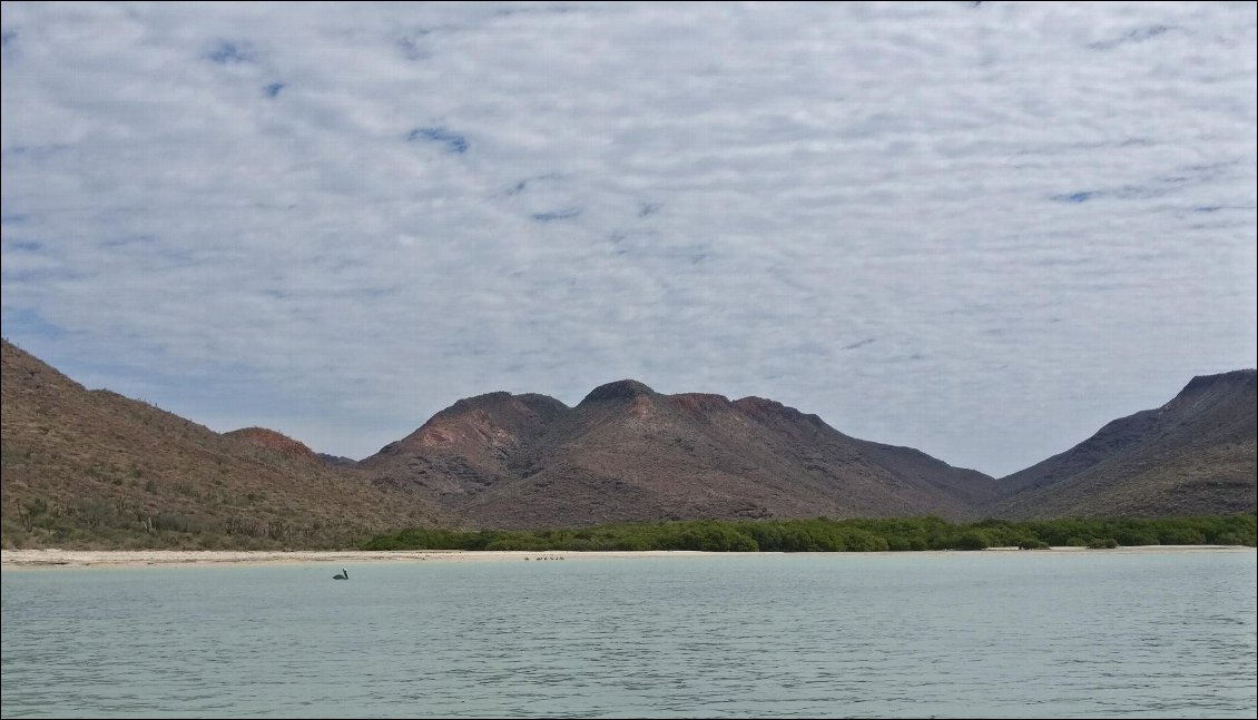 Une des baies habitée par une mangrove