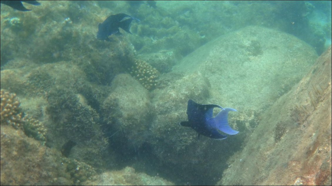 Photos prises du kayak, la main dans l'eau!