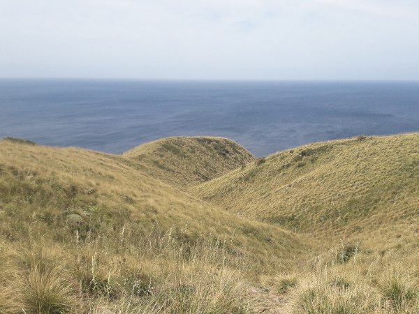 Les paysages à graminées de la côte nord