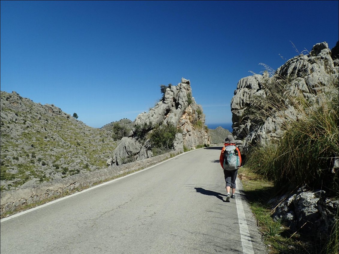 Long mais joli ; aucun sentier ne coupe les lacets de la route (la topographie s'y prête peu) qui mène a Sa Calobra et son fameux canyon qui arrive dans la mer.