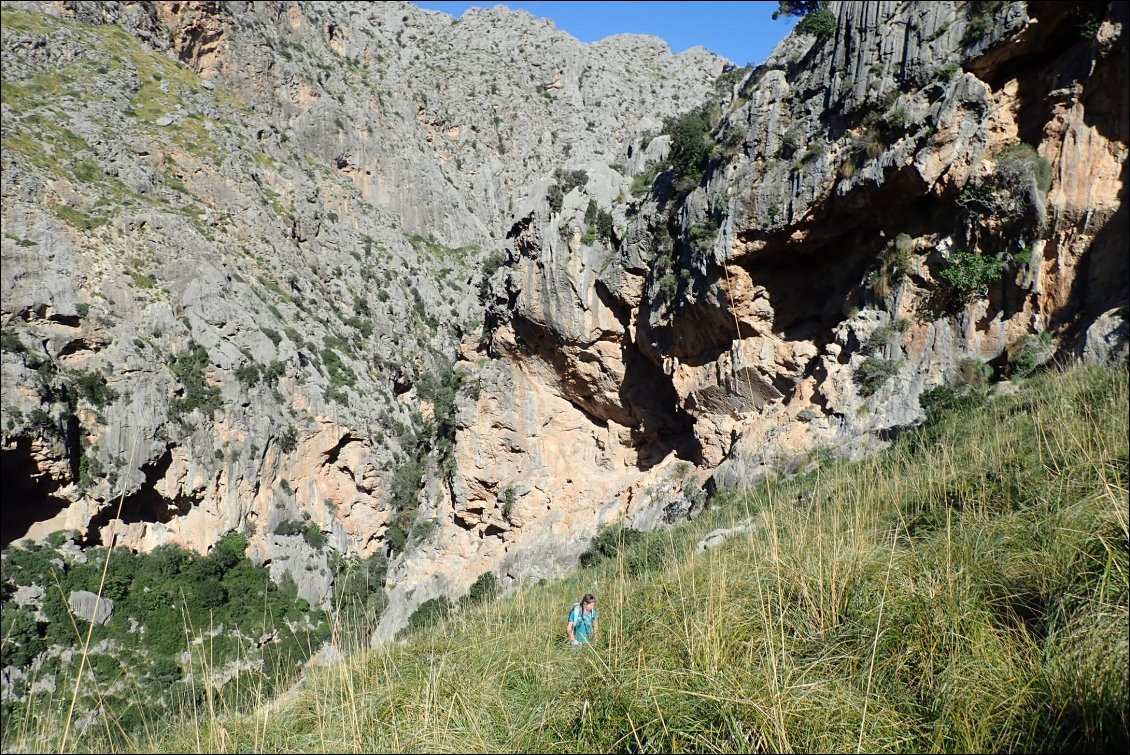 Bien sauvage ce sentier, et peu emprunté