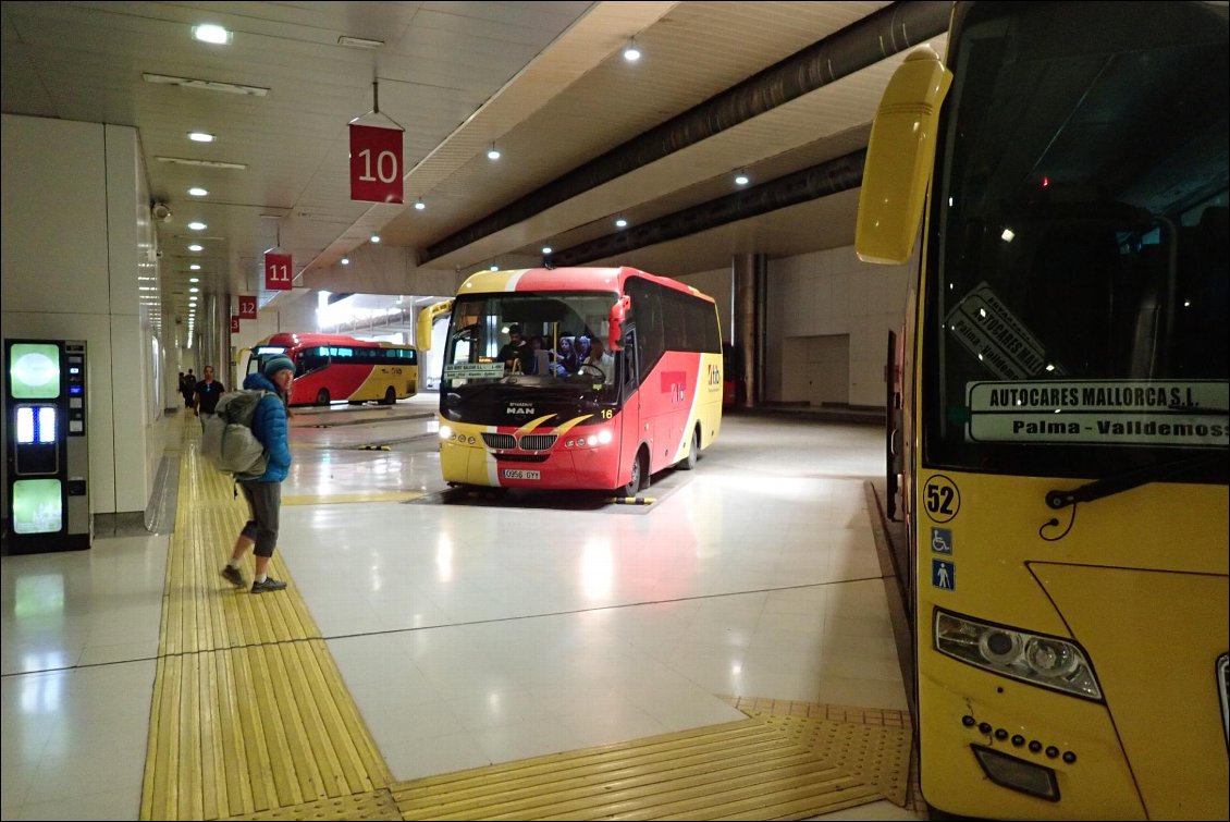 Retour en bus à Alcudia