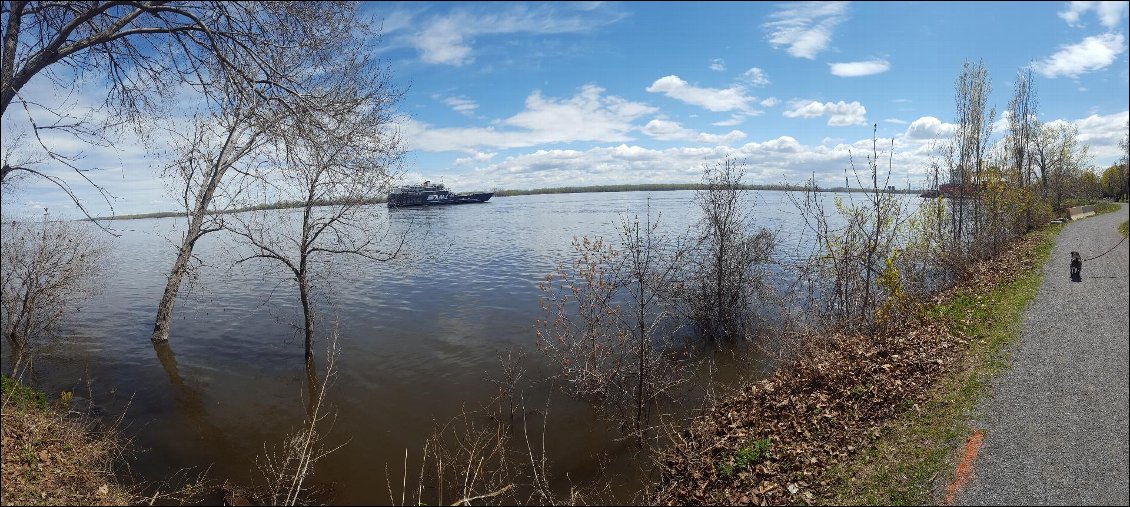 Sur la rive du Saint Laurent