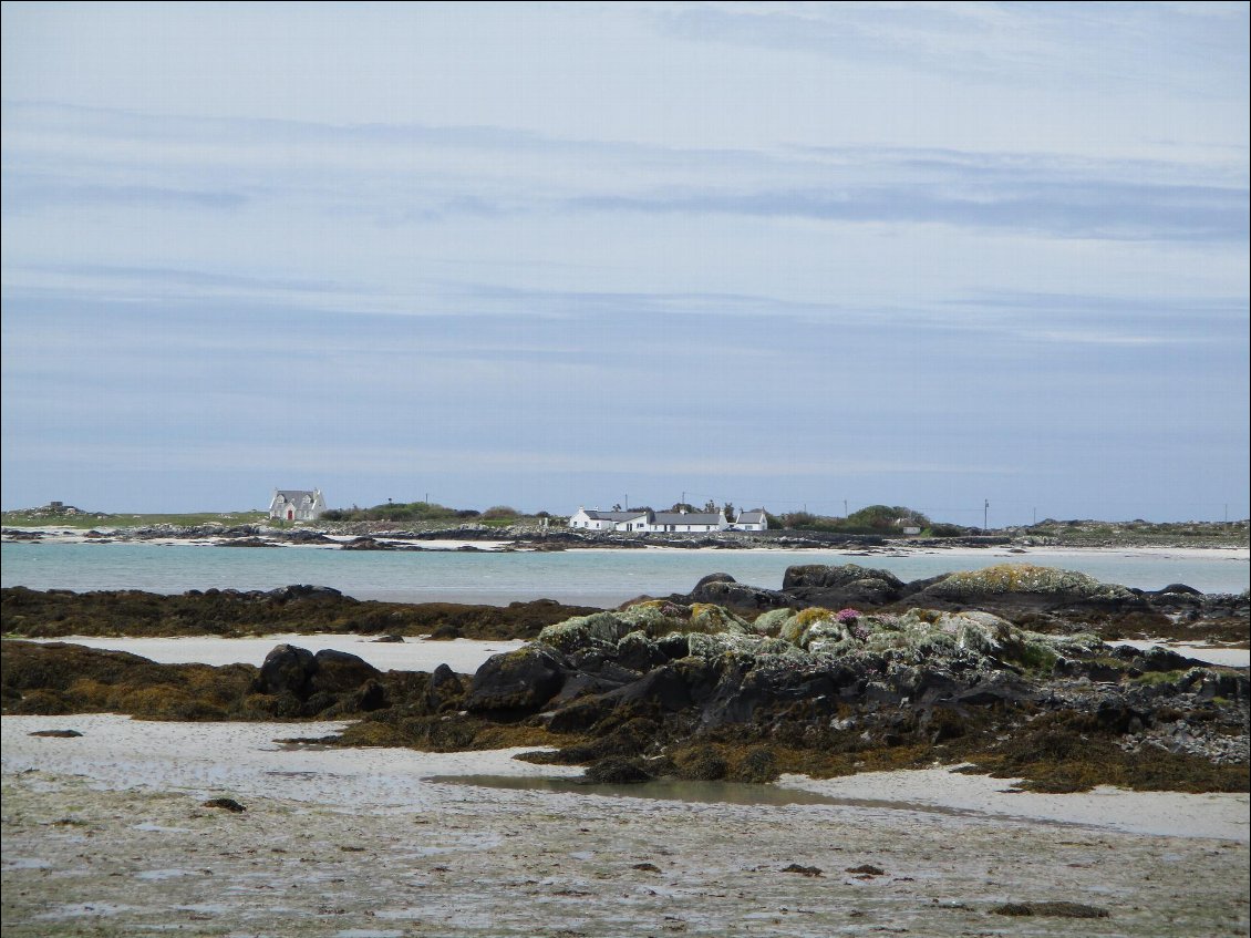 Côte Ouest un peu avant Ballyconneely. Joli endroit pour pique niquer.