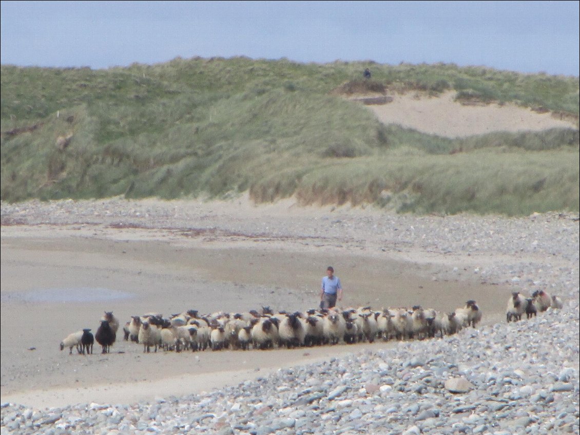 Touristes bronzant sur la plage ?