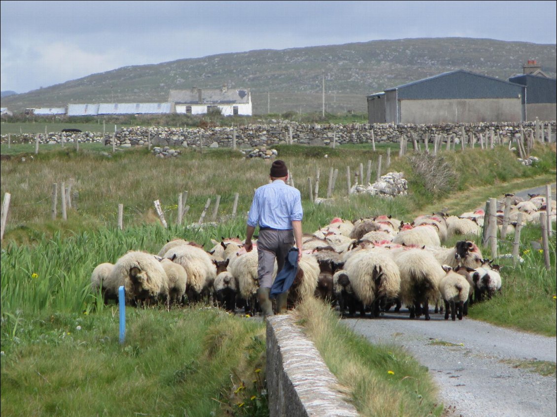 Heure de pointe en Irlande.