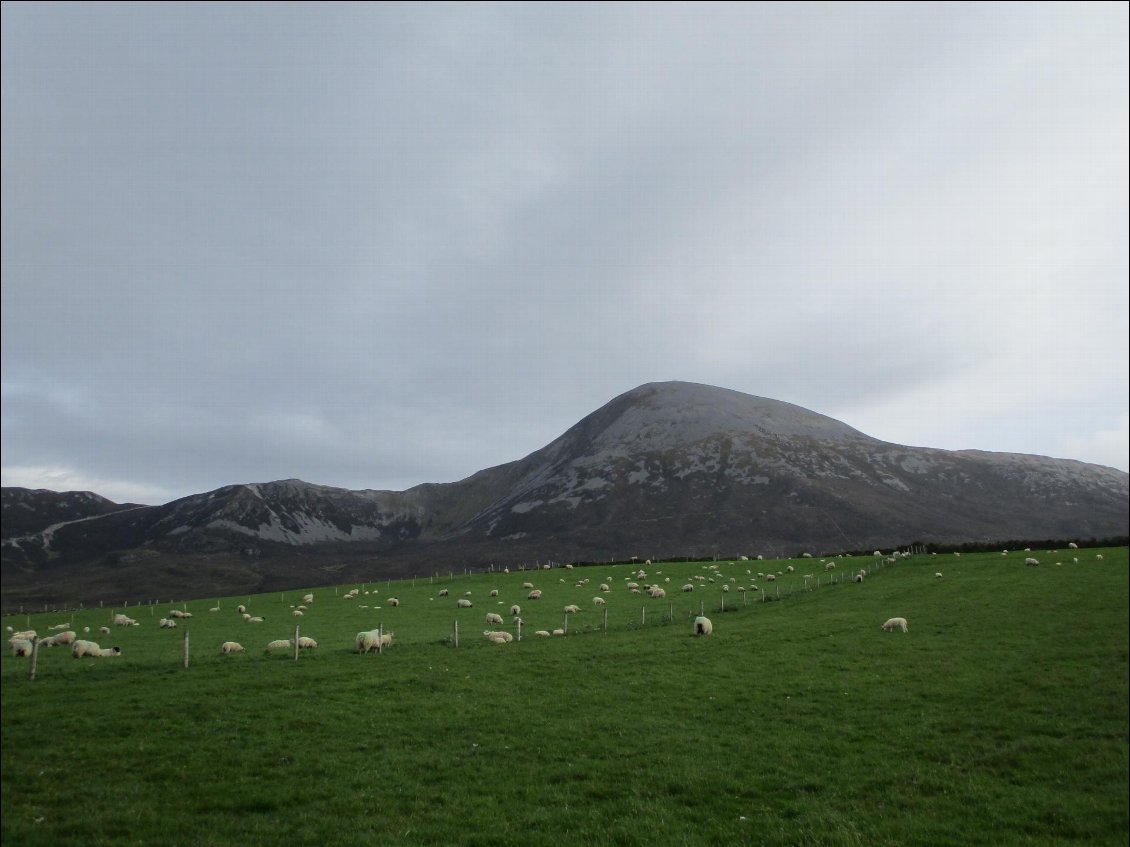 Croagh Patrick.