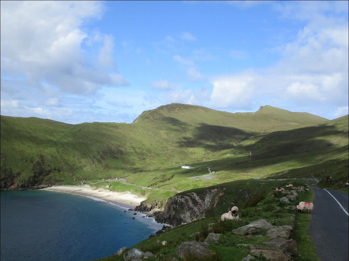 Keem bay, sa plage de sable blanc, ses eaux turquoises, et ses moutons sur la route ...