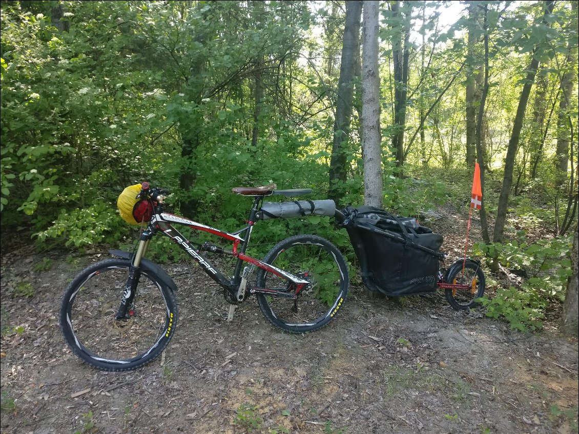 La bête à 3 roues!