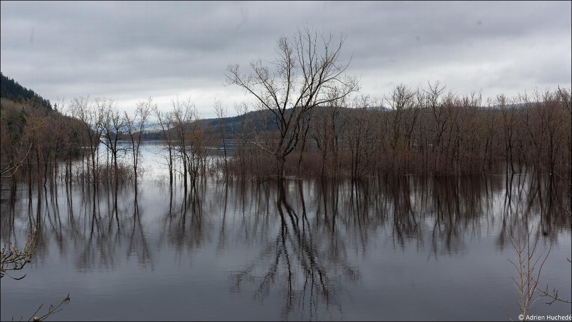 Lac Saint Jean