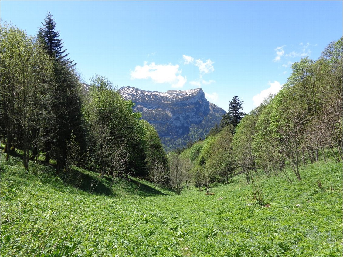 Vue dégagée sur le plateau de la dent de Crolles vers le col de la Saulce