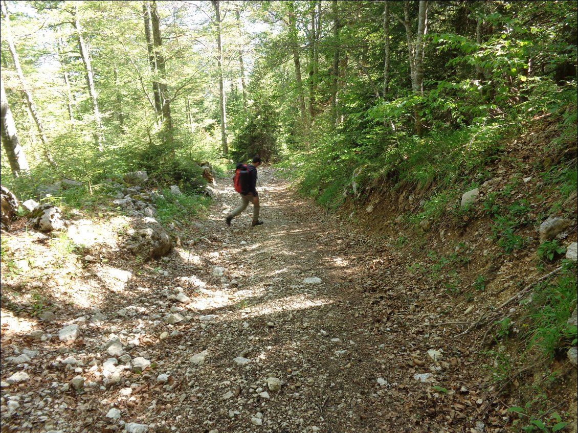 ça descend, ça descend... on aimerait pas monter de ce côté...