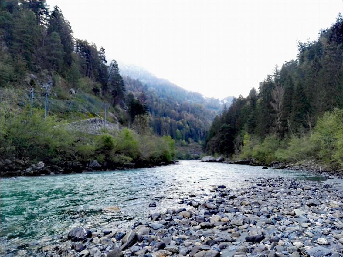 Les gorges du Rhin