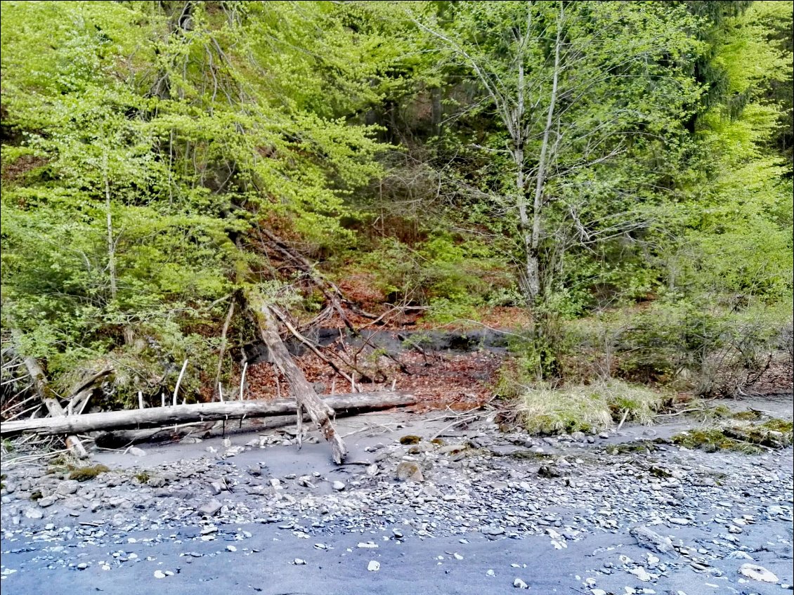 Zone de bivouac juste après la gare de Trin