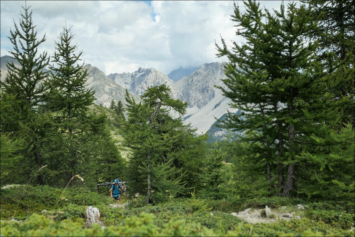 Montée régulière et fraîche dans les arbres.