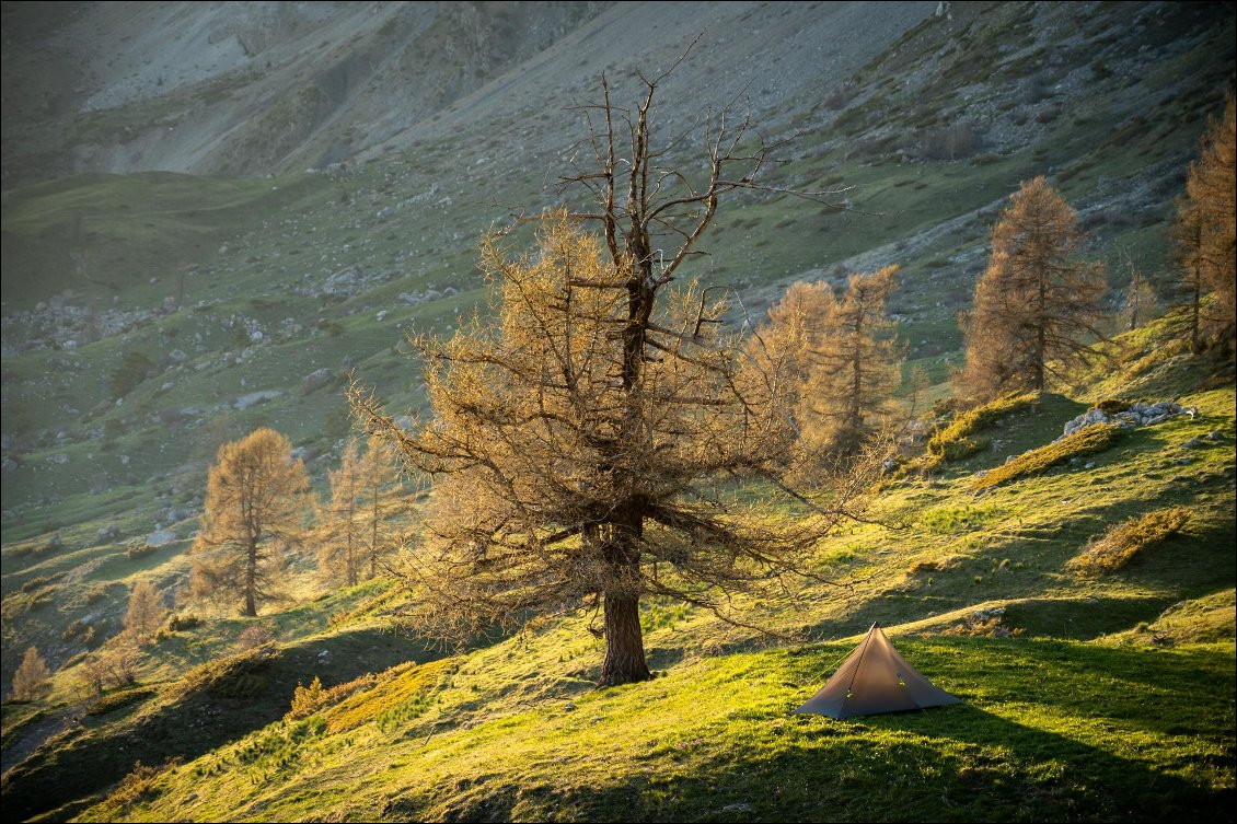 La couleur se fond dans le paysage. D'ailleurs, on peut demander à Tipik un coloris personnalisé.