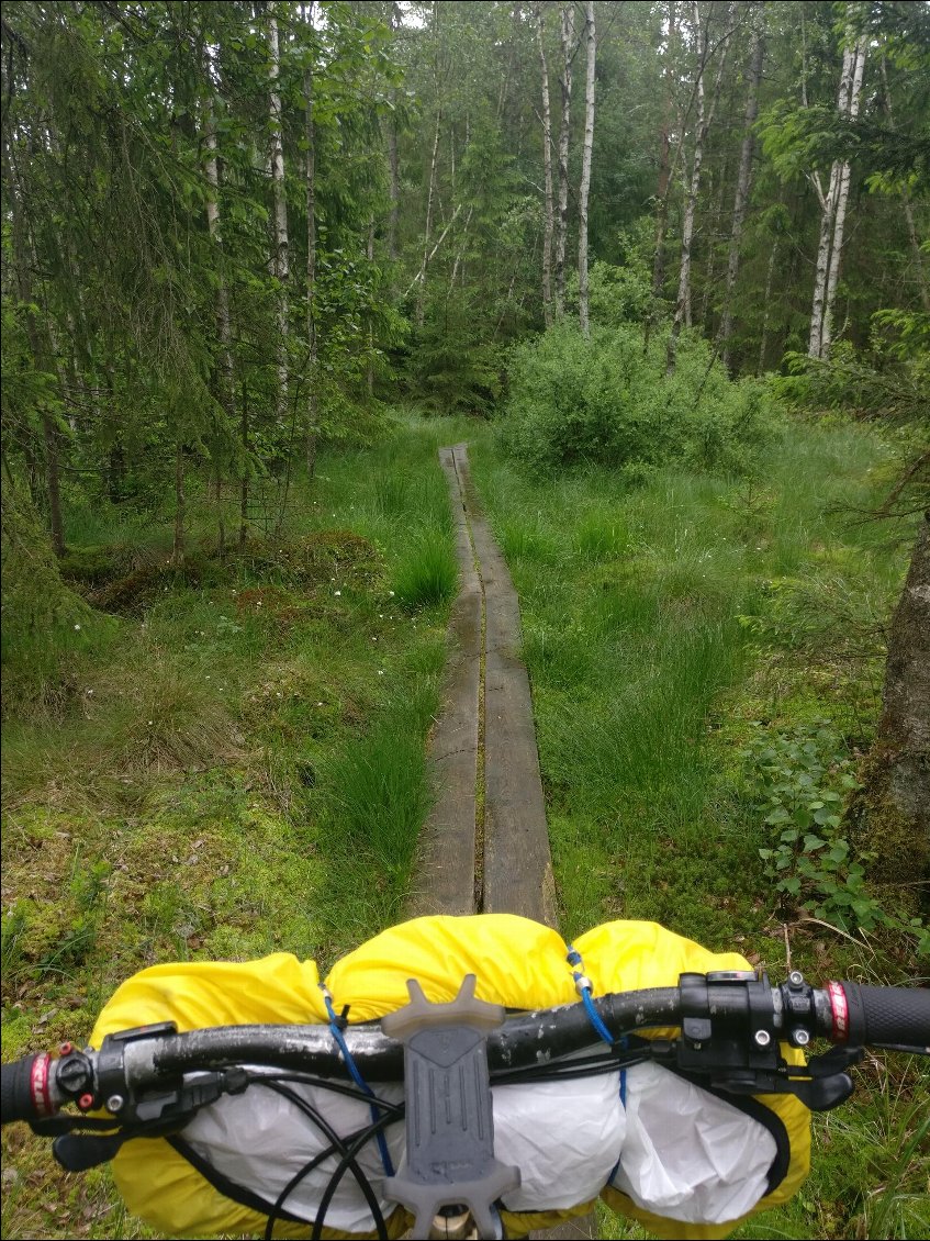 Les aménagements pour passer dans les zones humides... A ne pas tenter sur le vélo quand le bois est mouillé !