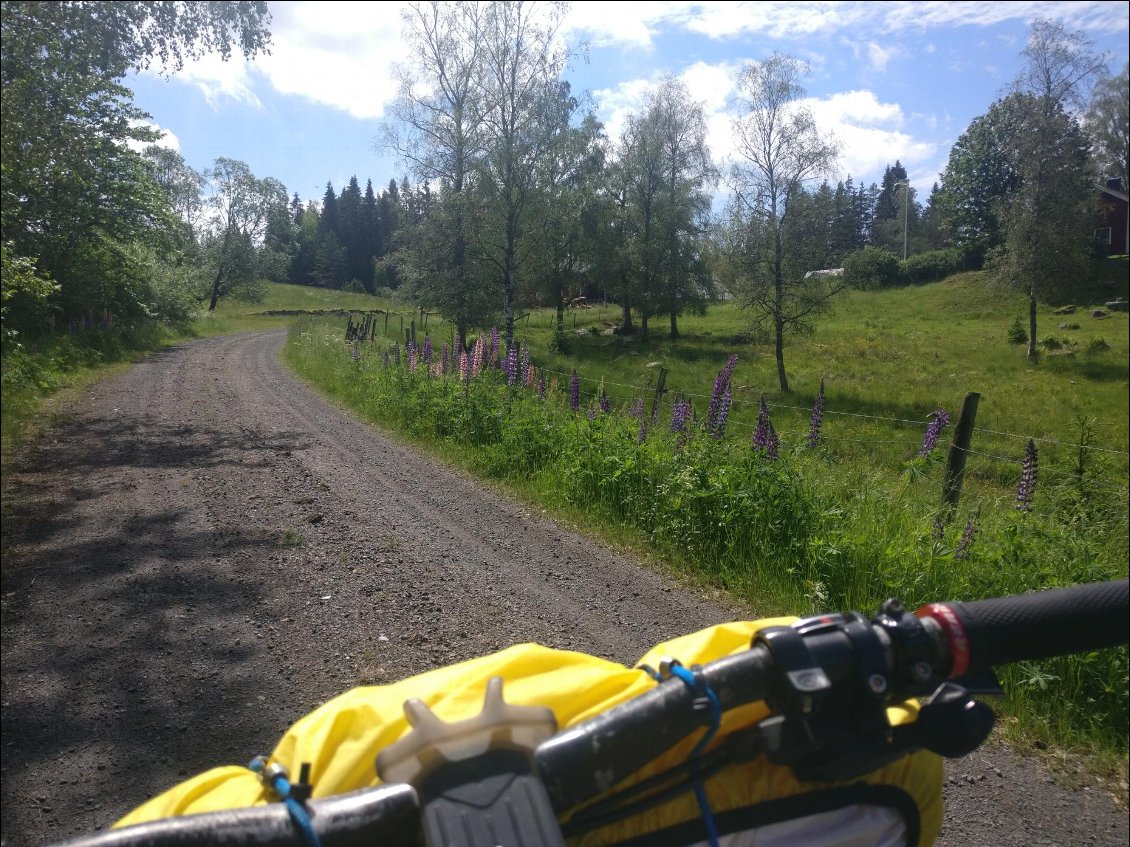 Quelles sont belles les pistes en Suède