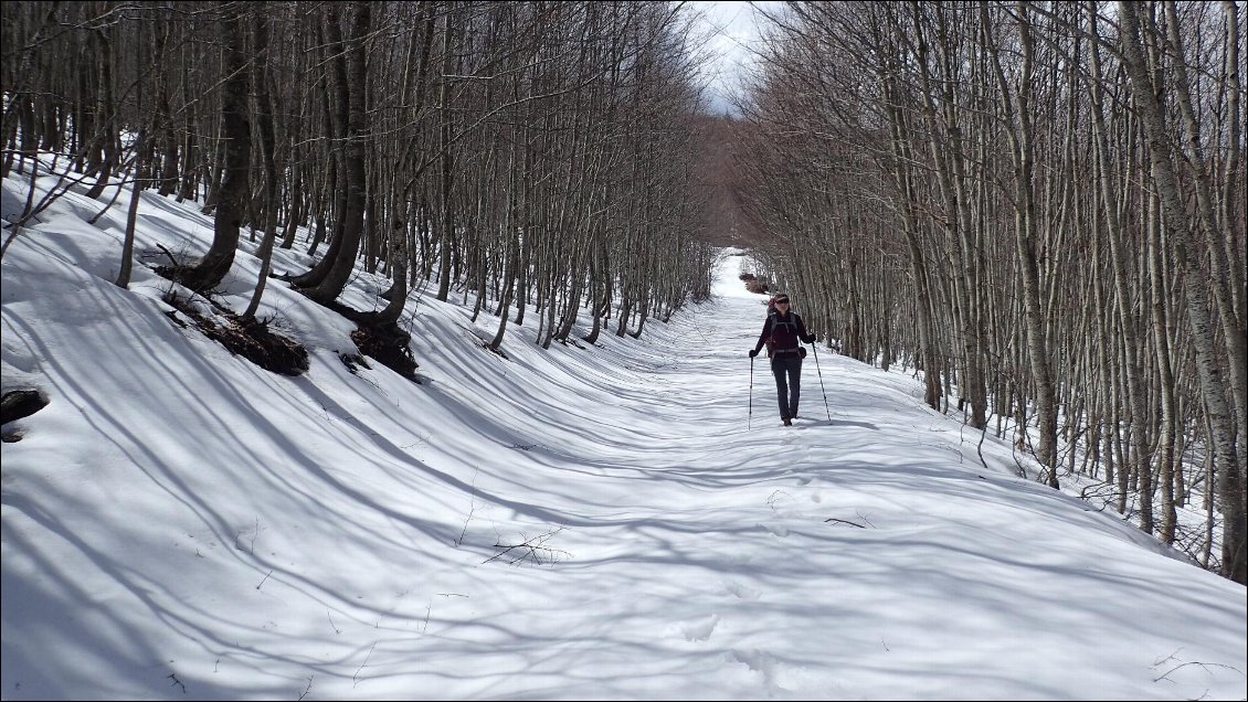 Encore beaucoup de neige sur cette piste exposée au nord.